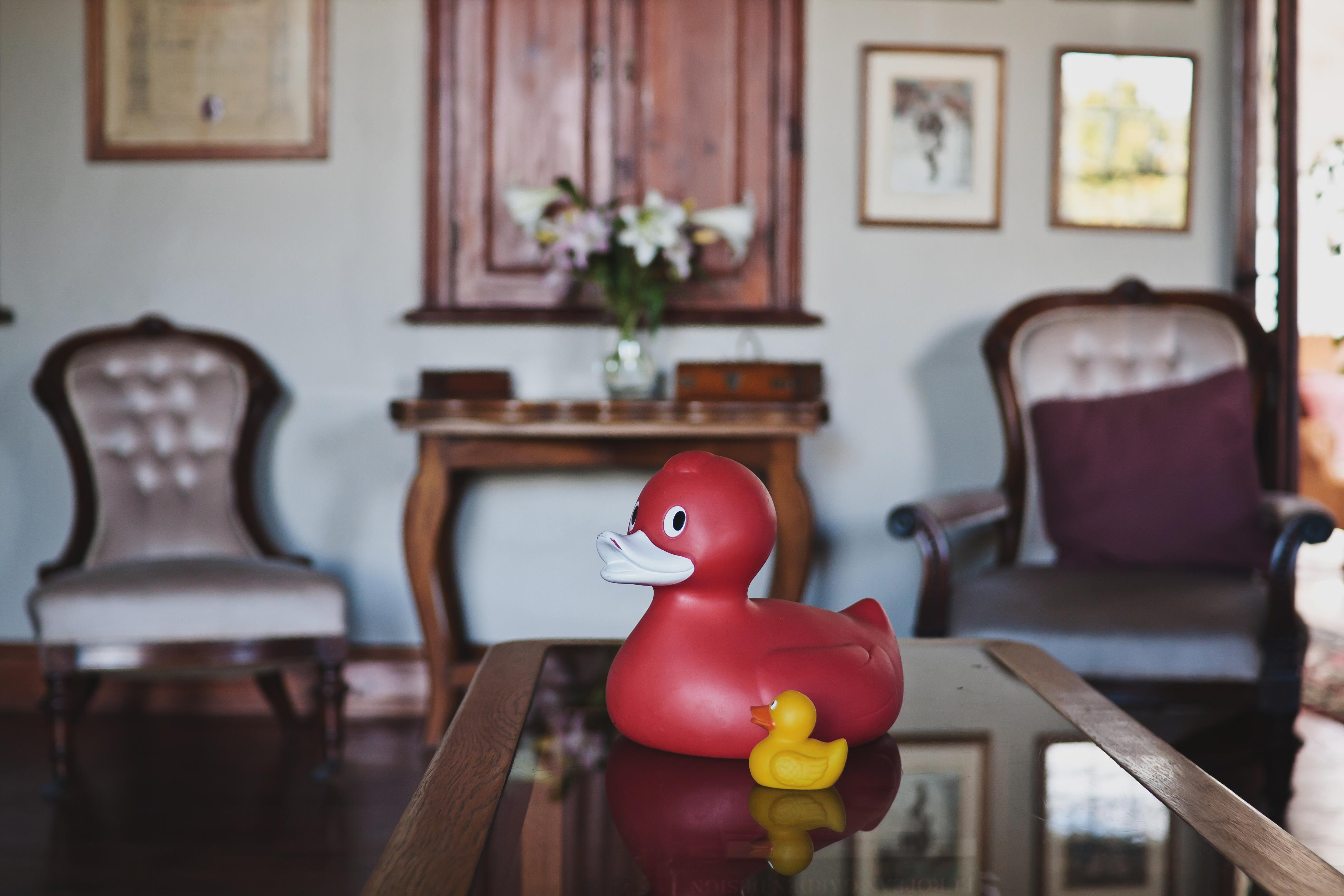Schoone Oordt Country House Swellendam Luaran gambar