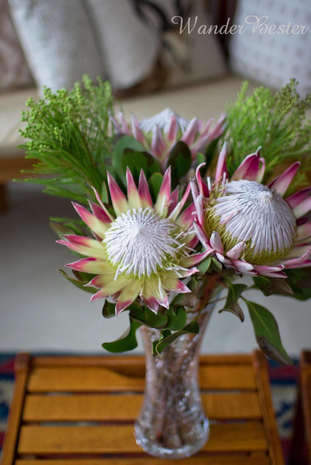 Schoone Oordt Country House Swellendam Luaran gambar
